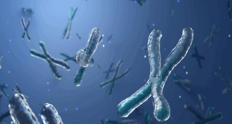 عامل جديد يكشف سر طول العمر عامل جديد يكشف سر طول العمر