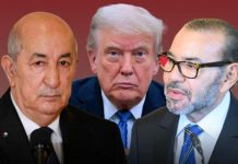 إدارة ترامب تجمع المغرب والجزائر والبوليساريو في مفاوضات سرية بمدريد إدارة ترامب تجمع المغرب والجزائر والبوليساريو في مفاوضات سرية بمدريد