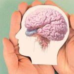 دراسة علمية تكشف آلية واعدة لاستعادة نشاط الخلايا الجذعية العصبية دراسة علمية تكشف آلية واعدة لاستعادة نشاط الخلايا الجذعية العصبية