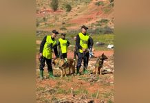 تسخير مروحية ودرون وكلاب مدربة لتكثيف البحث عن الطفلة المفقودة تسخير مروحية ودرون وكلاب مدربة لتكثيف البحث عن الطفلة المفقودة