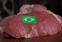 مناقصة لاستيراد لحوم من البرازيل لتزويد القوات المسلحة مناقصة لاستيراد لحوم من البرازيل لتزويد القوات المسلحة