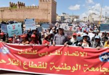 النقابة الفلاحية تنتقد تأخر وزارة الزراعة في تنفيذ الاتفاقات النقابة الفلاحية تنتقد تأخر وزارة الزراعة في تنفيذ الاتفاقات