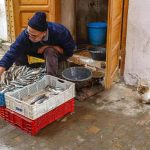 المغرب: موائد رمضان تنتظر سمك الفقراء المغرب: موائد رمضان تنتظر سمك الفقراء