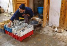 المغرب: موائد رمضان تنتظر سمك الفقراء المغرب: موائد رمضان تنتظر سمك الفقراء