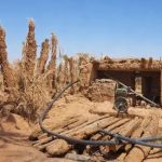 باحثون مغاربة يرصدون تدهور الوضع البيئي بواحات الجنوب الشرقي باحثون مغاربة يرصدون تدهور الوضع البيئي بواحات الجنوب الشرقي