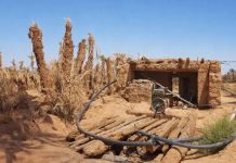 باحثون مغاربة يرصدون تدهور الوضع البيئي بواحات الجنوب الشرقي باحثون مغاربة يرصدون تدهور الوضع البيئي بواحات الجنوب الشرقي