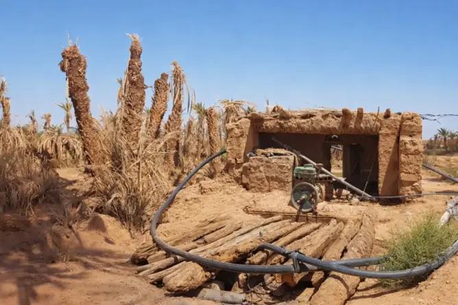 باحثون مغاربة يرصدون تدهور الوضع البيئي بواحات الجنوب الشرقي باحثون مغاربة يرصدون تدهور الوضع البيئي بواحات الجنوب الشرقي