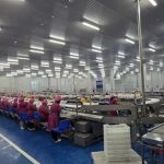 برشيد تحتضن أحد أكبر مصانع تعليب التونة في المغرب برشيد تحتضن أحد أكبر مصانع تعليب التونة في المغرب