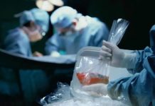 المغرب يسرع رقمنة التبرع بالأعضاء لإنقاذ الأرواح المغرب يسرع رقمنة التبرع بالأعضاء لإنقاذ الأرواح