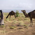هكذا رفعت حرب إيران كلفة الإنتاج الزراعي في المغرب هكذا رفعت حرب إيران كلفة الإنتاج الزراعي في المغرب