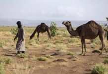 هكذا رفعت حرب إيران كلفة الإنتاج الزراعي في المغرب هكذا رفعت حرب إيران كلفة الإنتاج الزراعي في المغرب
