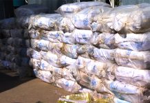 Crystal meth seized in Zambézia