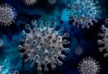 Covid-19: Delta variant confirmed in Mozambique