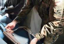 Nyusi and Momade discuss demobilisation