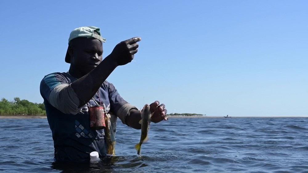 Mozambique, Cabo Delgado: increased violence and attacks push a third of the population from their homes Mozambique, Cabo Delgado: increased violence and attacks push a third of the population from their homes