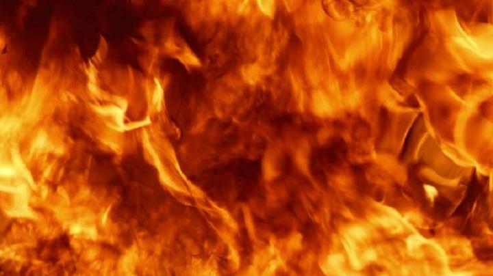 Nampula: SERNIC destroys 86 kg of drugs Nampula: SERNIC destroys 86 kg of drugs