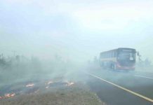 Fire quelled in Maputo Special Reserve, affected area being determined Mozambique: Fire quelled in Maputo Special Reserve, affected area being determined – Noticias