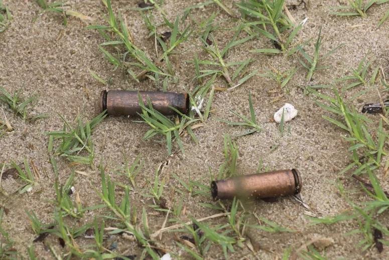 Mozambique: Insurgents fleeing Cabo Delgado may be using Niassa as refuge – provincial assembly president Mozambique: Insurgents fleeing Cabo Delgado may be using Niassa as refuge – provincial assembly president