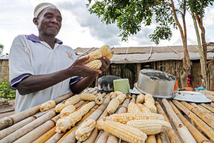 Mozambique: Authorities appeal to displaced in Cabo Delgado to grow food, stop depending on handouts Mozambique: Authorities appeal to displaced in Cabo Delgado to grow food, stop depending on handouts