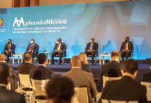 Government launches tender to select Mphanda Nkuwa’s strategic partner