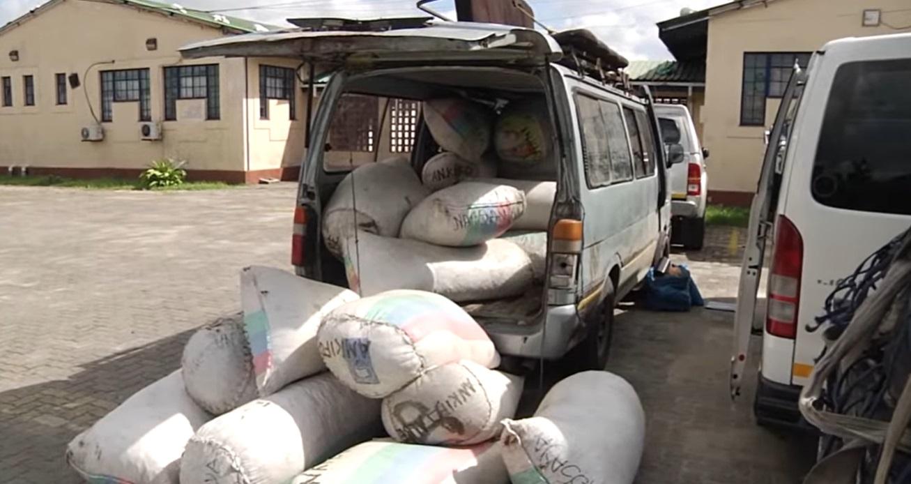 Beira: 20 tons of illegal fish seized in first 3 months of current closed season’- Watch Beira: 20 tons of illegal fish seized in first 3 months of current closed season’- Watch