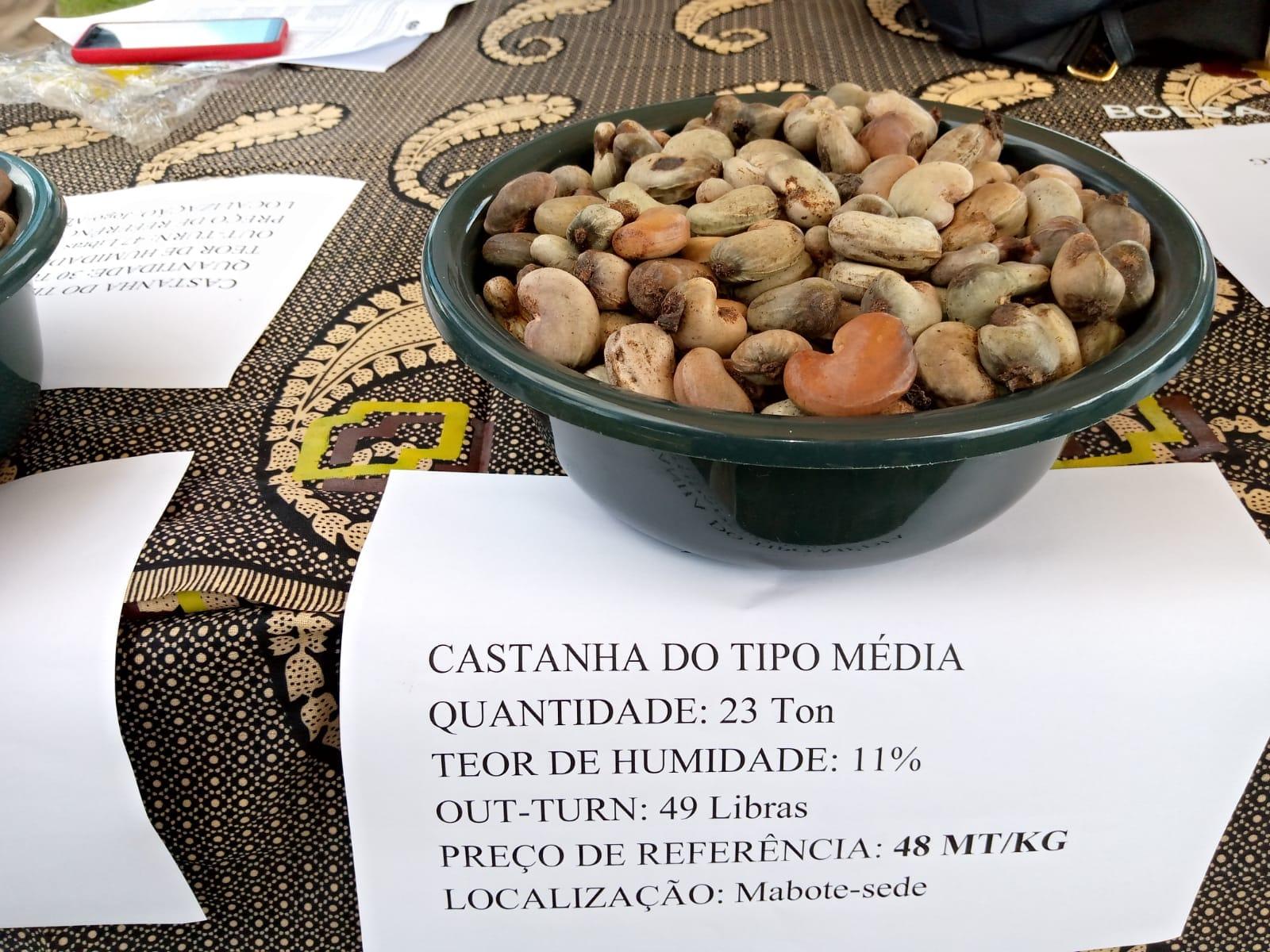 Inhambane province: Cashew nut producers expect a yield worth 834 million meticais – report Inhambane province: Cashew nut producers expect a yield worth 834 million meticais – report