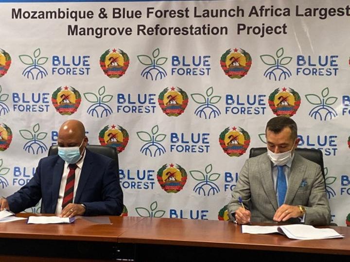 Mozambique & Blue Forest launch Africa’s largest mangrove restoration project – Media Release Mozambique & Blue Forest launch Africa’s largest mangrove restoration project – Media Release