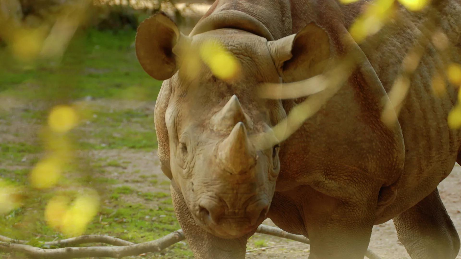 The Future is Here? British Zoo Aims to Save Endangered Animals With Cryo-Freezing The Future is Here? British Zoo Aims to Save Endangered Animals With Cryo-Freezing