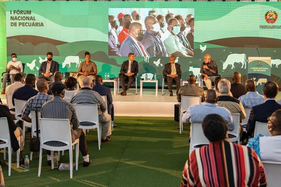 Mozambique: Chicken meat production reaches 135,000 tonnes Mozambique: Chicken meat production reaches 135,000 tonnes