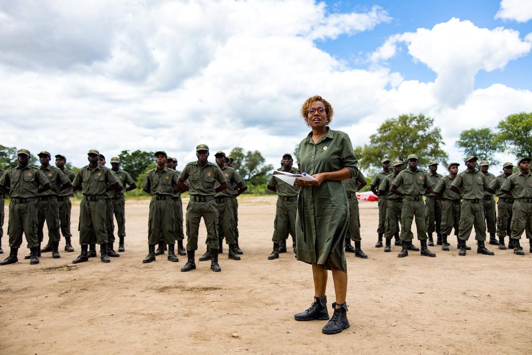 Mozambique: Over 230 poachers arrested in Zinave National Park in five years – Lusa Mozambique: Over 230 poachers arrested in Zinave National Park in five years – Lusa