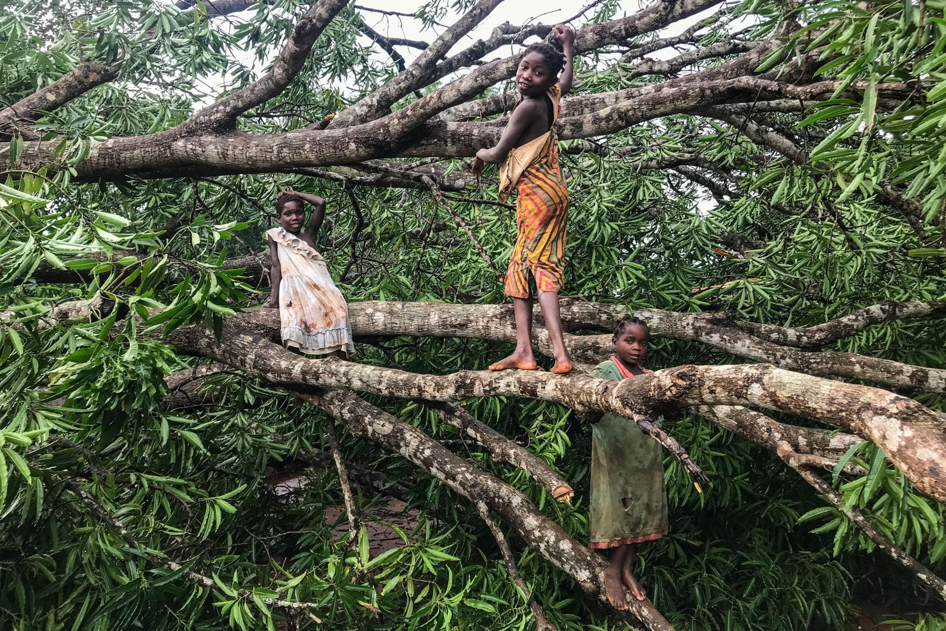 Mozambique: Gombe death toll over 50 – AIM report Mozambique: Gombe death toll over 50 – AIM report