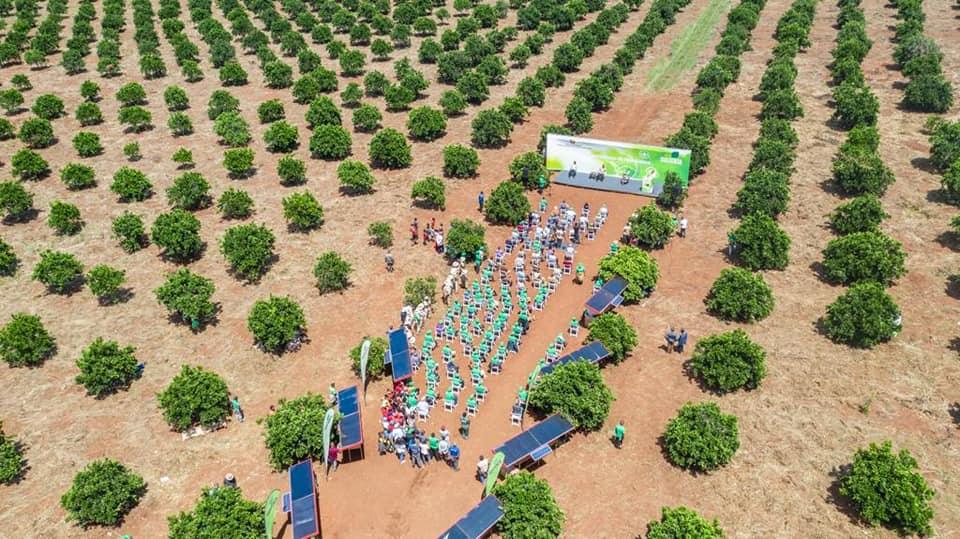 Mozambique: Austrian cooperation funds fruit growing with €10 million – RM Mozambique: Austrian cooperation funds fruit growing with €10 million – RM