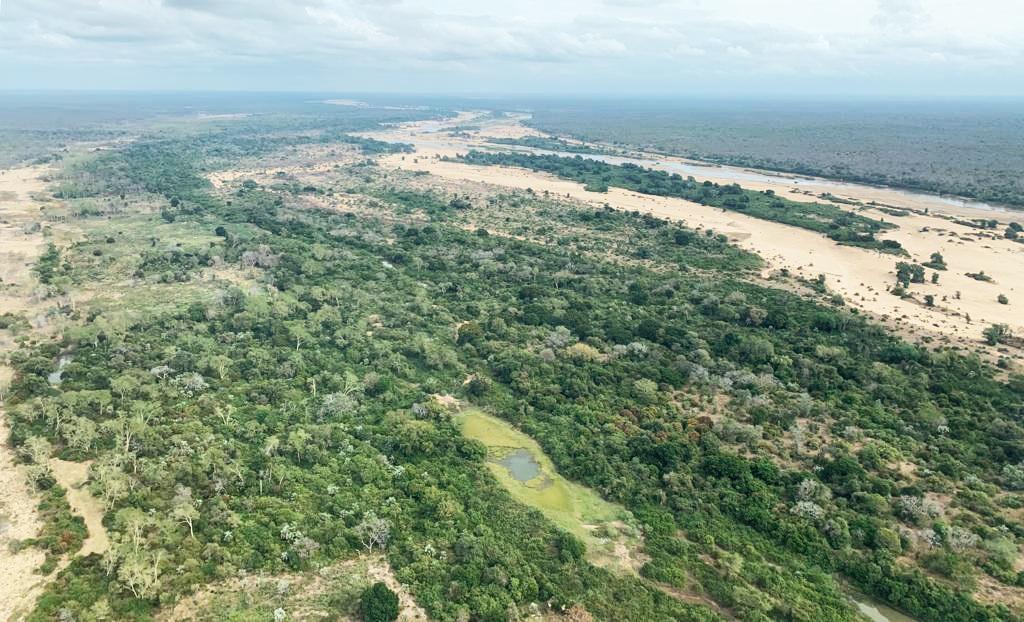 Three districts manage Zinave National Park – Notícias - Mozambique