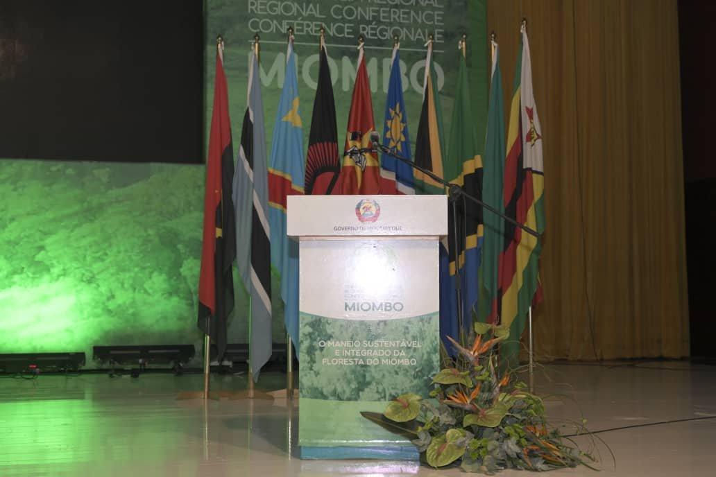 President chairs regional meeting on forest ecosystems