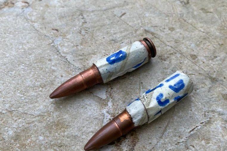 Bullets found in activist’s backyard with ‘veiled threat’