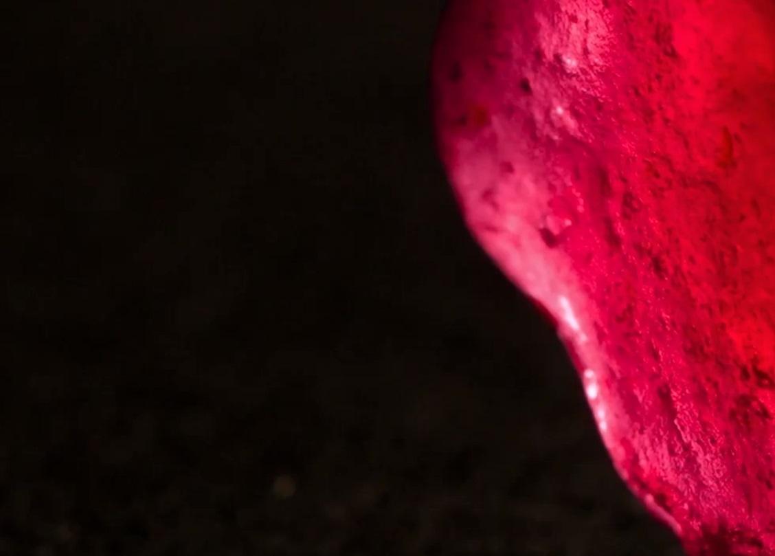 World’s largest gem-quality ruby discovered in Mozambique World’s largest gem-quality ruby discovered in Mozambique