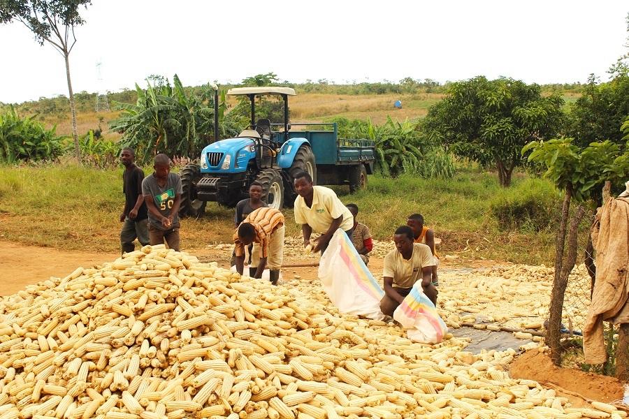 Mozambique to invest over 800 million dollars in agricultural