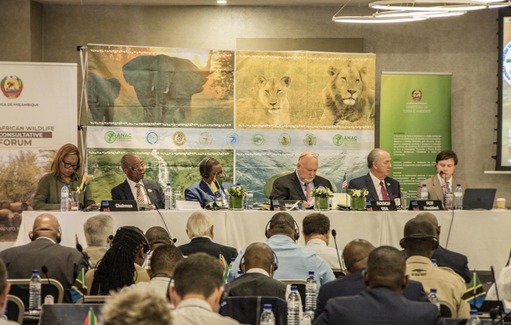 Human-animal conflict: Government calls for reflection on land planning policy Human-animal conflict: Government calls for reflection on land planning policy