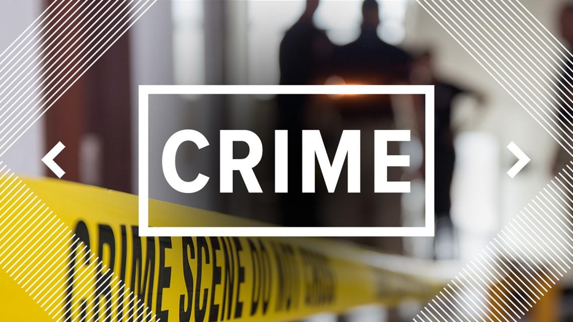 Police parade 11 suspected of involvement in homicides in Beira Police parade 11 suspected of involvement in homicides in Beira