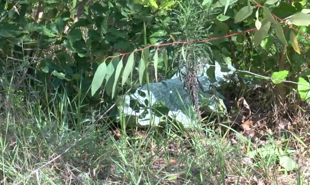 Another woman found murdered near her home in Beira Another woman found murdered near her home in Beira