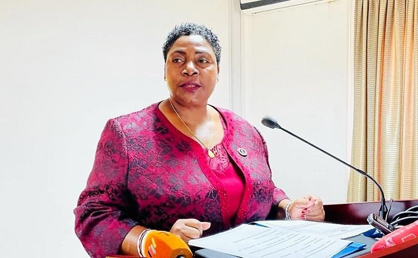 Global production reaches more than 80 billion meticais in Manica province Global production reaches more than 80 billion meticais in Manica province