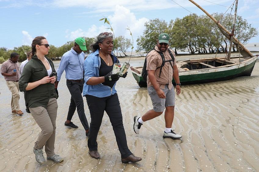 Linda Thomas-Greenfield kickstarts Mozambique visit: Planting mangroves and beach-cleaning Linda Thomas-Greenfield kickstarts Mozambique visit: Planting mangroves and beach-cleaning