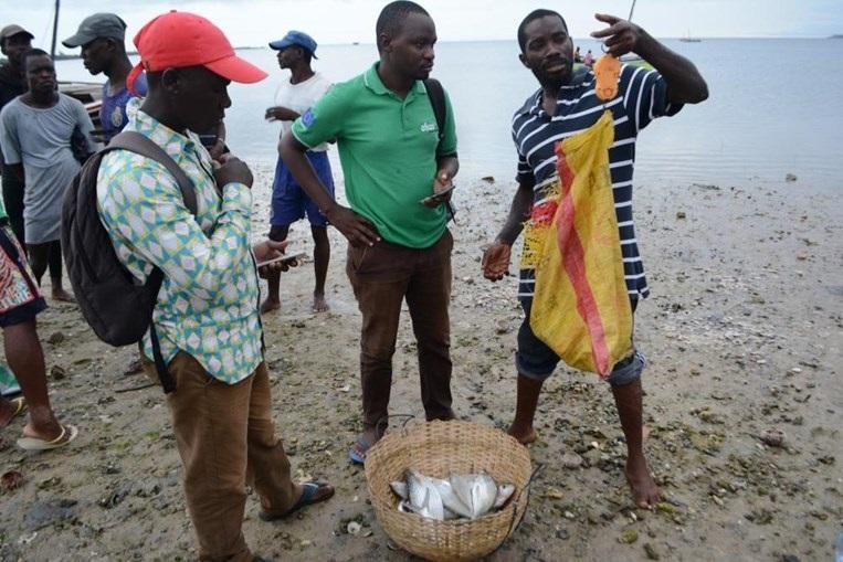 Less plastic, more fish formula tested on Mozambique Island Less plastic, more fish formula tested on Mozambique Island