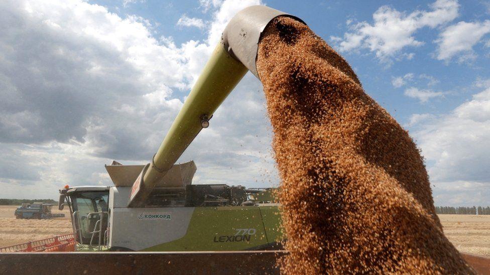 No respite in cereal prices as food inflation bites - WB No respite in cereal prices as food inflation bites - WB
