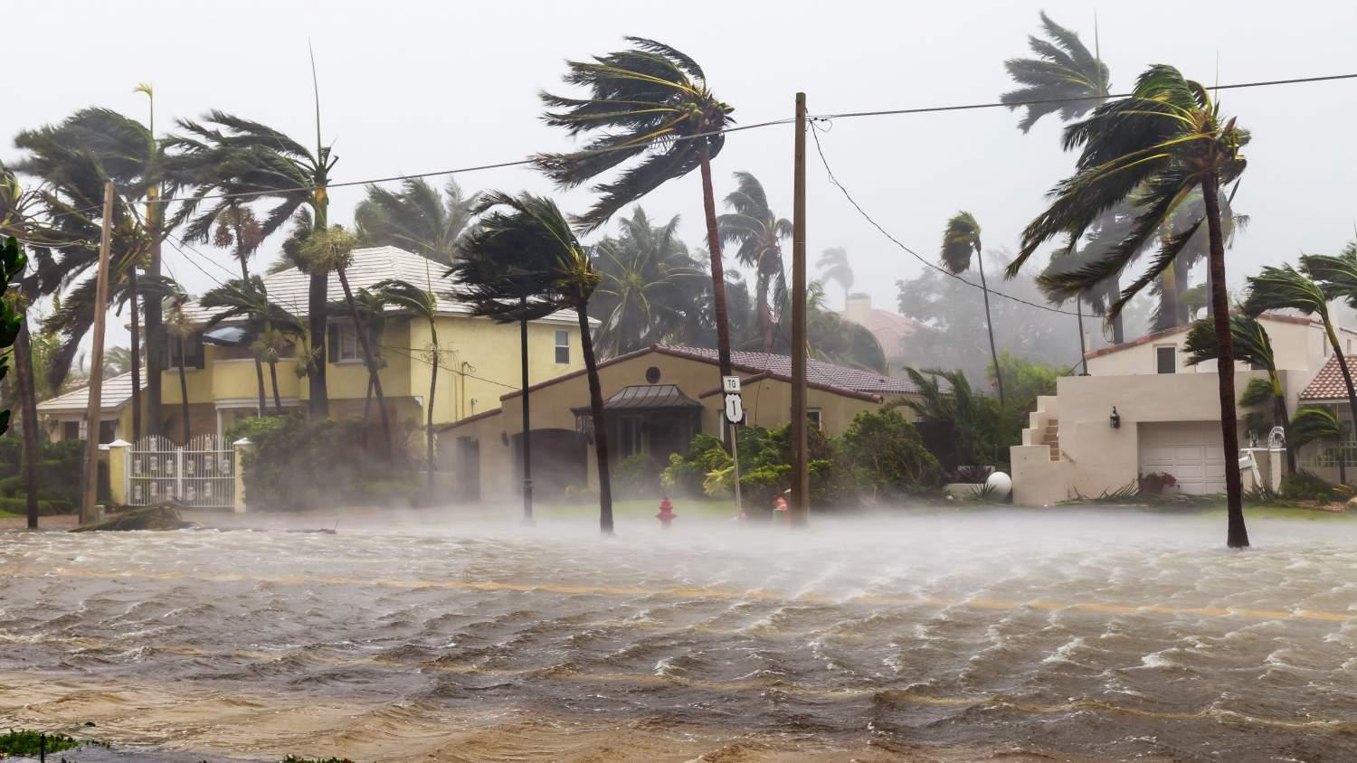 Cyclone cuts off Quelimane Cyclone cuts off Quelimane