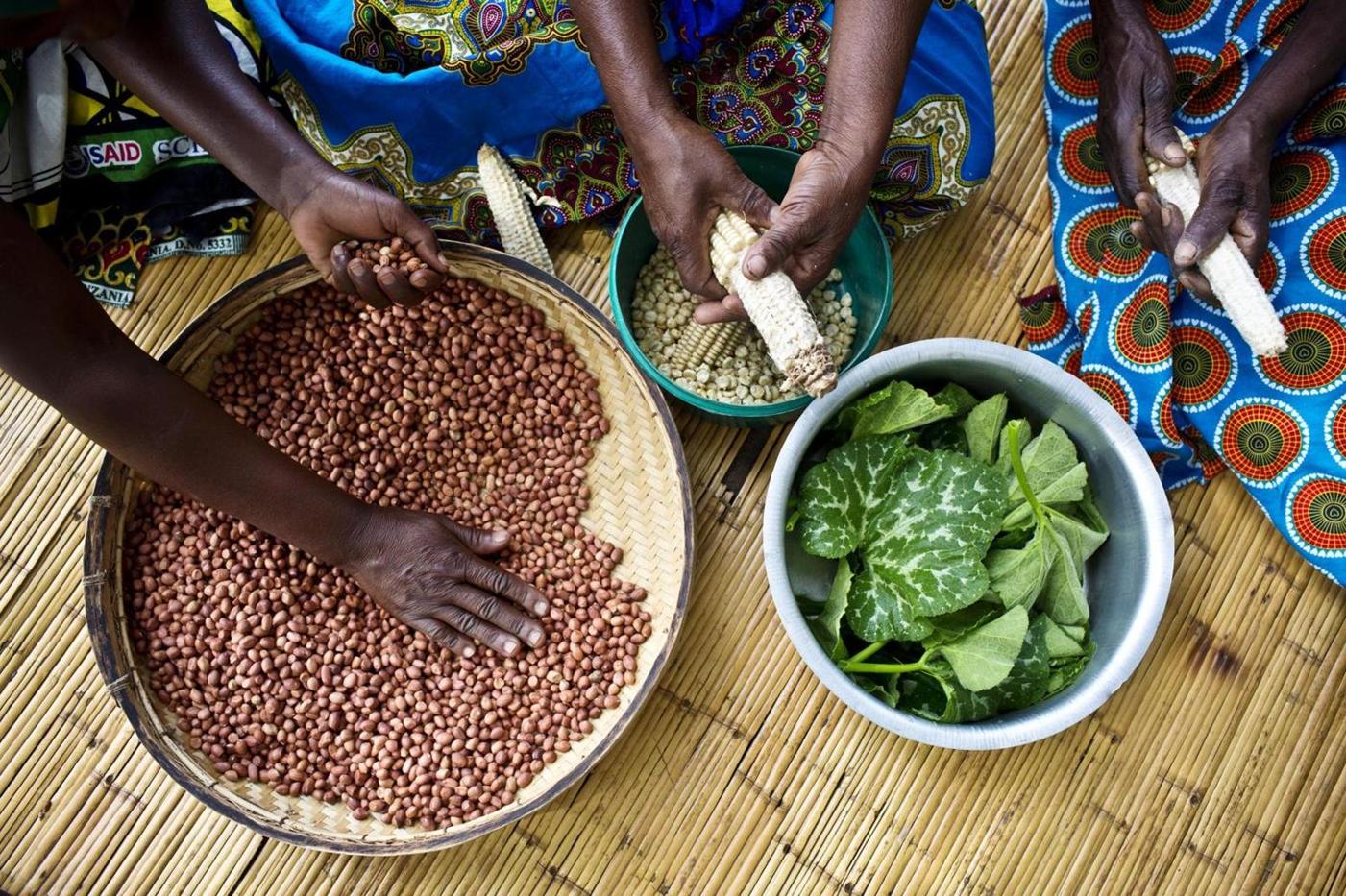 U.S. Government Supports Improved Nutrition in Zambézia Province U.S. Government Supports Improved Nutrition in Zambézia Province