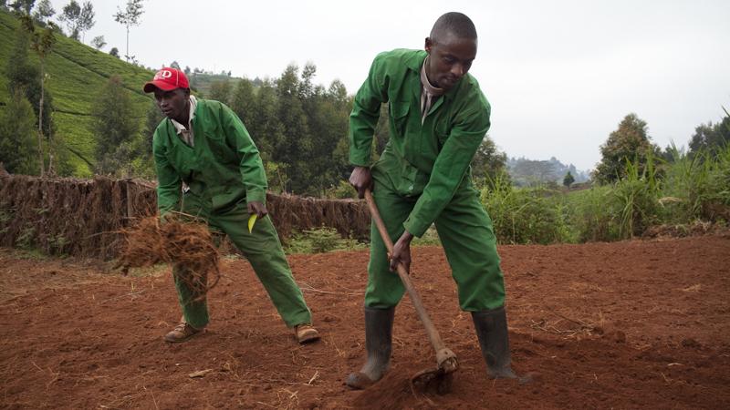 Agricultural companies should focus on the African market Agricultural companies should focus on the African market
