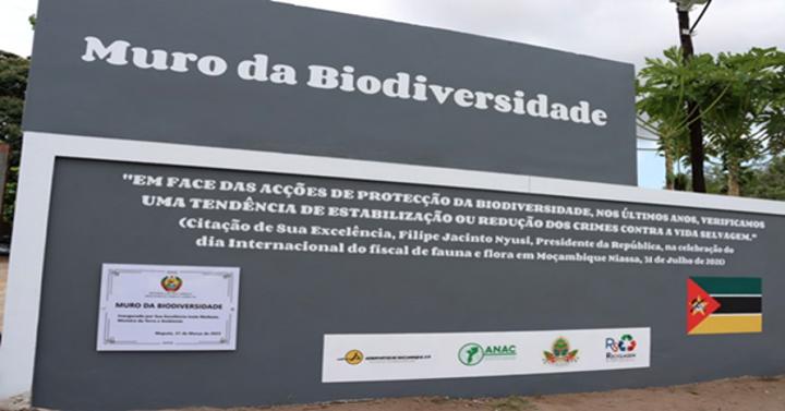 More than four million meticais spent on construction of ‘biodiversity wall’ More than four million meticais spent on construction of ‘biodiversity wall’