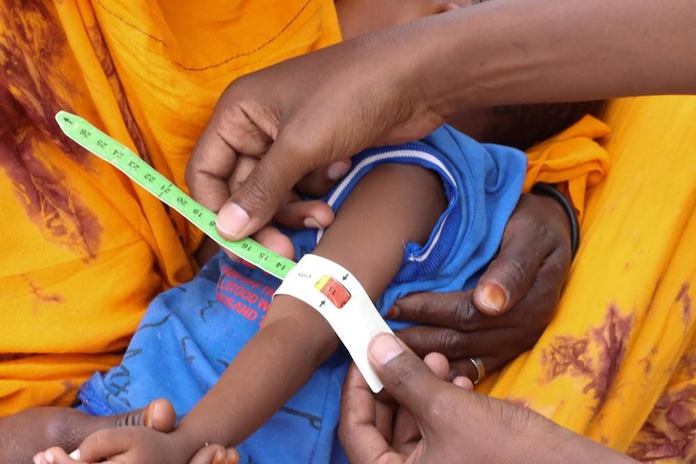 Reduced milk production in Asals fuels malnutrition – report Reduced milk production in Asals fuels malnutrition – report
