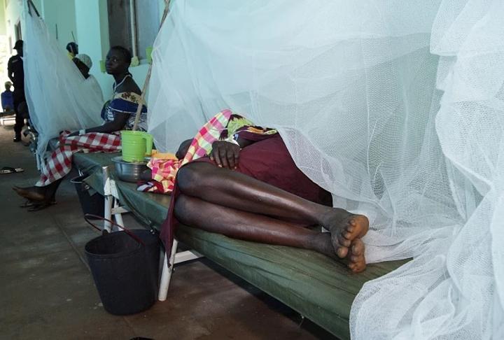 Cholera death toll now 122 Cholera death toll now 122